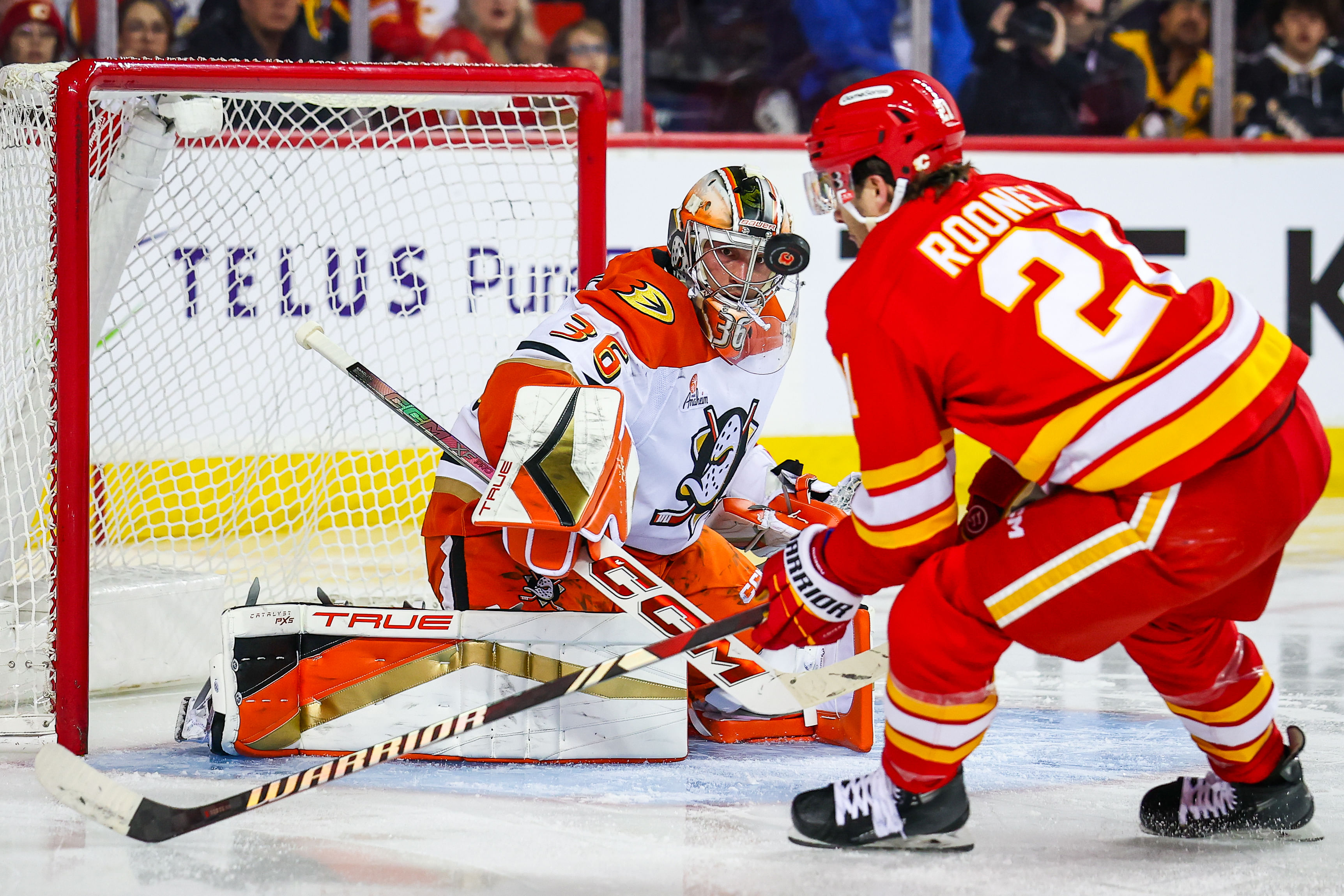 Gibson will take over the crease in Detroit next season - Source: Imagn